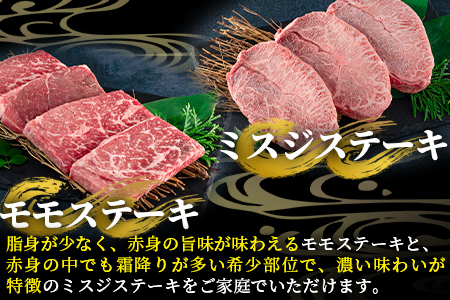 ＜【定期便6ヶ月】総重量2.85kgの宮崎牛味わい尽くし（ヒレステーキ込）＞【MI158-my】【ミヤチク】
