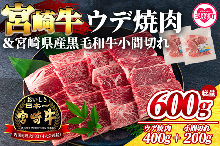 ＜宮崎牛ウデ焼肉と宮崎県産和牛小間切れ 総量600g＞【MI141-my】【ミヤチク】