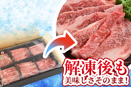 ＜3D冷凍宮崎牛焼肉食べ比べセット＞(合計600g)肩ロース、バラ、モモ、ウデ、ロース、ヒレ各100gずつ！【MI089-my】【ミヤチク】