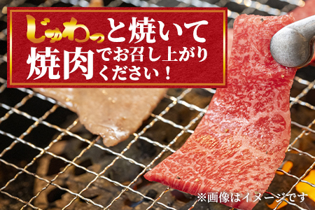 ＜【3ヶ月定期便】総重量1.6kgの宮崎牛焼肉味わいお試しセット＞国産 九州産【MI243-my】【ミヤチク】