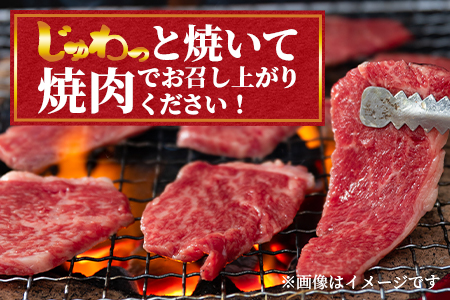 ＜宮崎牛ウデ焼肉と宮崎県産和牛小間切れ 総量600g＞【MI141-my】【ミヤチク】