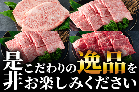 ＜【定期便6ヶ月】総重量3.8kgの宮崎牛ステーキ焼肉味わい尽くし＞【MI148-my】【ミヤチク】