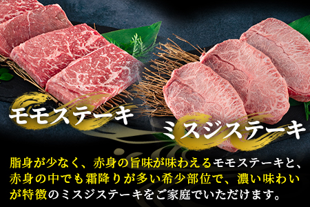 ＜数量限定【6ヶ月定期便】総重量2.45kg宮崎牛ステーキ・希少部位焼肉(ヒレステーキ込)＞国産 九州産【MI240-my】【ミヤチク】