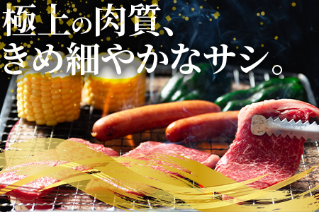 ＜宮崎牛ウデ焼肉と宮崎県産和牛小間切れ 総量600g＞【MI141-my】【ミヤチク】