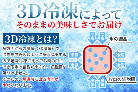 ＜3D冷凍宮崎牛焼肉食べ比べセット＞(合計600g)肩ロース、バラ、モモ、ウデ、ロース、ヒレ各100gずつ！【MI089-my】【ミヤチク】