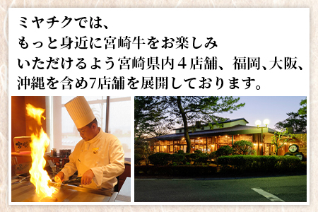 【畜産農家応援】＜宮崎牛赤身(ウデorモモ)スライス 600g＞入金確認後、1か月程度で出荷【 国産 黒毛和牛 牛肉 牛 精肉 スライス ウデ肉 モモ肉 4等級以上 ブランド牛 赤身 旨味 贈答品 ギフト 贈り物 化粧箱 しゃぶしゃぶ グルメ ミヤチク 】