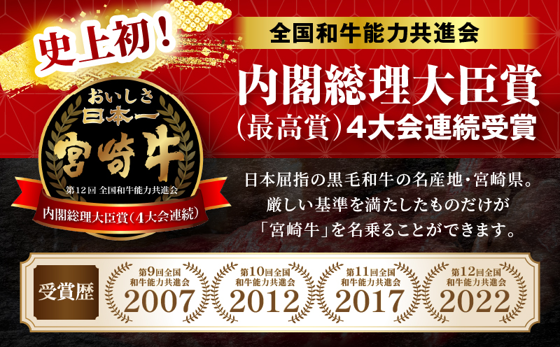 宮崎牛 赤身焼肉 2パック（1kg）_my085-012-01