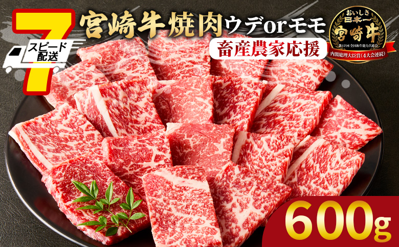 【畜産農家応援】＜宮崎牛 赤身焼肉 1パック（600g）＞入金確認後、7営業日以内に順次出荷【 国産 黒毛和牛 牛肉 牛 精肉 ウデ肉 モモ肉 4等級以上 ブランド牛 赤身 旨味 贈答品 ギフト 贈り物 化粧箱 グルメ ミヤチク 】
