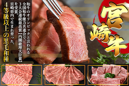 ＜宮崎牛 焼肉 3種セット（ウデ・モモ・バラ）合計1.2kg＞