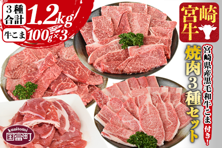 ＜宮崎牛 焼肉3種セット（ウデ・モモ・バラ）合計1.2kg ＋ 宮崎県産黒毛和牛こま切れ 合計300g＞