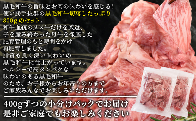 ＜宮崎県国富町産（経産牛）切落し 800g＞1か月以内に順次出荷【 数量 選べる 切り落とし切落し カレー 肉じゃが 牛丼 小分け 使いやすい お取り寄せグルメ お取り寄せ バラエティー 】