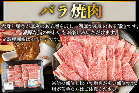 ＜宮崎牛バラ焼肉 400g ＋宮崎県産黒毛和牛こま切れ 100g＞