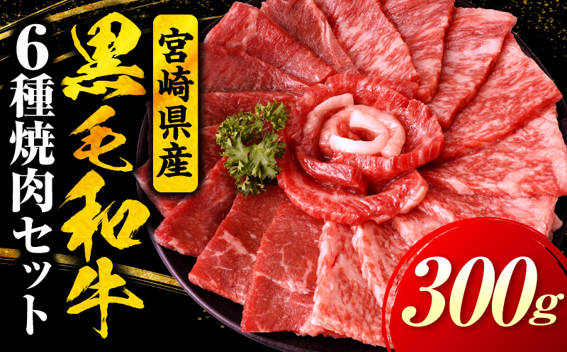 宮崎県産黒毛和牛(経産)6種焼肉セット 300g_b0749_my_x2