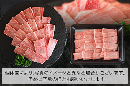 ＜宮崎牛 三角バラカルビ焼肉 400g＞