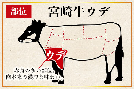 ＜宮崎牛 ウデ焼肉 500g＞