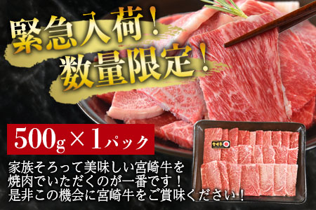 ＜宮崎牛 ウデ焼肉 500g＞