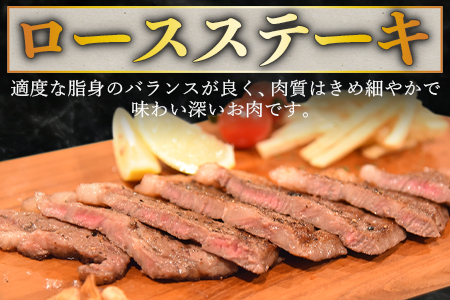 ＜宮崎牛 ロースステーキ 2枚 合計500g＞