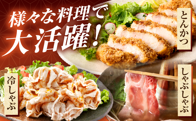 豚肉バラエティー詰合せセット 2.3kg_my085-013