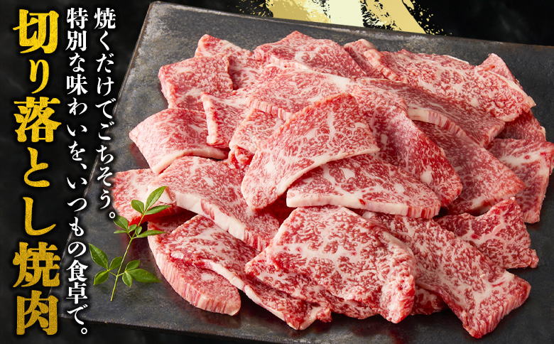 ＜宮崎牛 切落し焼肉1kg（500g×2）＞入金確認後、翌月末までに出荷【 国産 黒毛和牛 牛肉 牛 精肉 赤身 ブランド牛 ちょっと豪華 毎日の食卓 プチ贅沢 ご褒美 旨味 普段使い 焼き肉 形 大きさ 不揃い 切り落とし やきにく 焼くだけ ミヤチク 宮崎県  】
