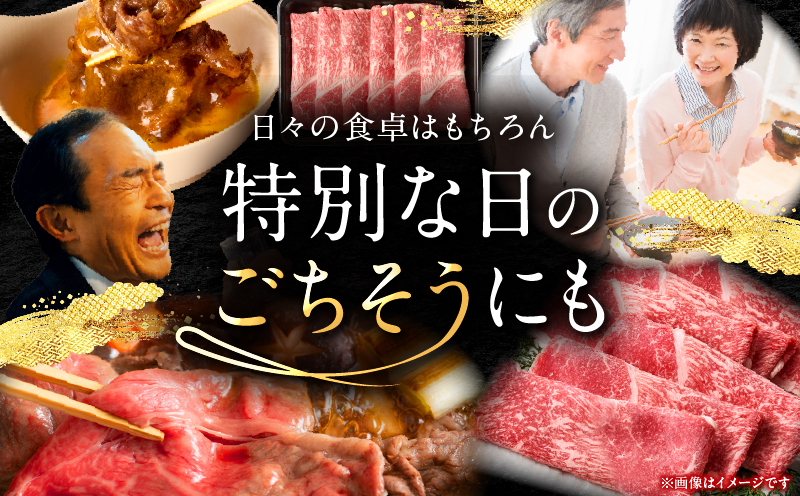 宮崎牛赤身(ウデorモモ)スライス 1kg_my085-006-01