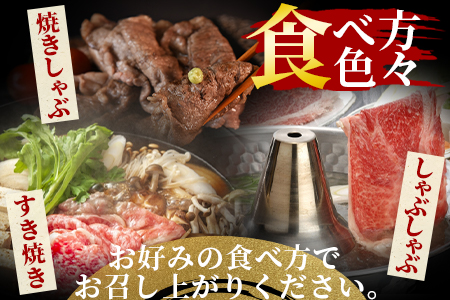 ＜宮崎牛赤身(ウデorモモ)スライス 2パック＞2週間以内に順次出荷【 国産 黒毛和牛 牛肉 牛 精肉 スライス ウデ肉 モモ肉 4等級以上 ブランド牛 赤身 旨味 贈答品 ギフト 贈り物 化粧箱 しゃぶしゃぶ グルメ ミヤチク 】