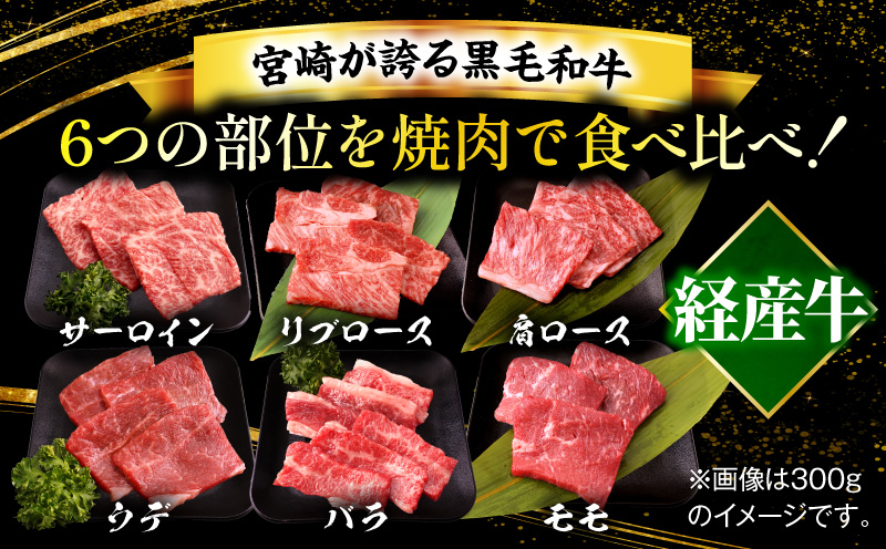 宮崎県産黒毛和牛(経産)6種焼肉セット 300g_b0749_my_x2