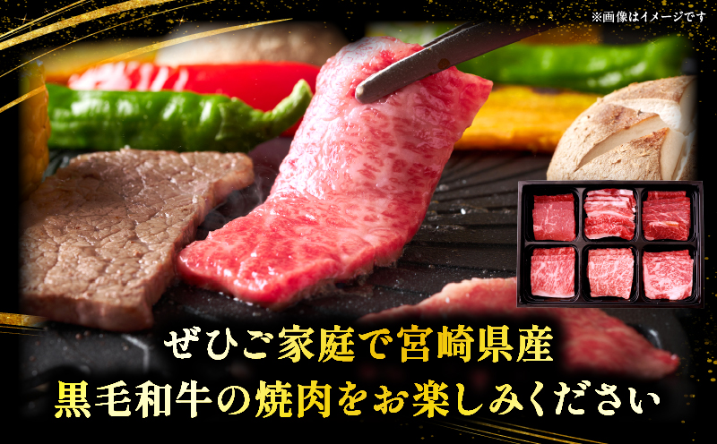 宮崎県産黒毛和牛(経産)6種焼肉セット 600g_b0750_my_x2