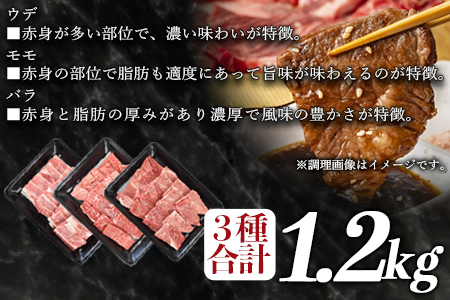 ＜宮崎牛 焼肉3種セット（ウデ・モモ・バラ）合計1.2kg ＋ 宮崎県産黒毛和牛こま切れ 合計300g＞