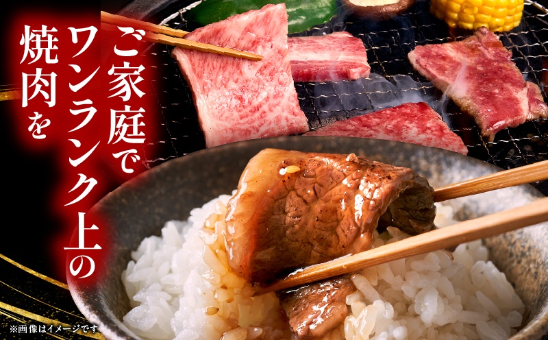 宮崎県産黒毛和牛(経産)6種焼肉セット 300g_b0749_my_x2