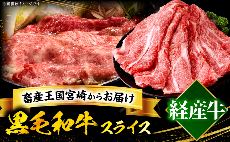 宮崎県産黒毛和牛(経産)肩ローススライス 1kg（500g×2）_b0752_my_x2