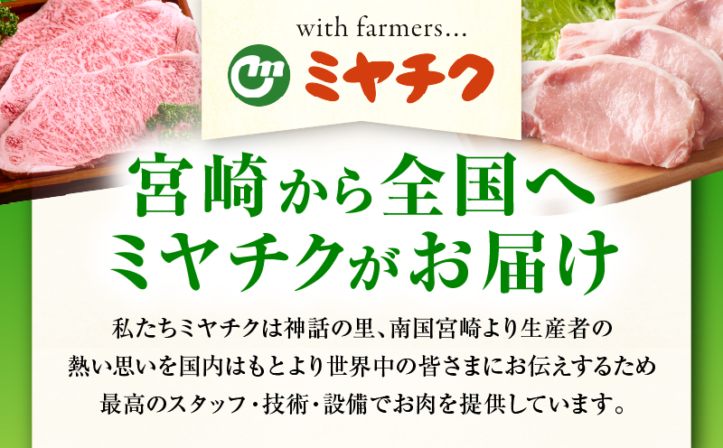 宮崎牛 赤身焼肉 2パック（1kg）_my085-012-01