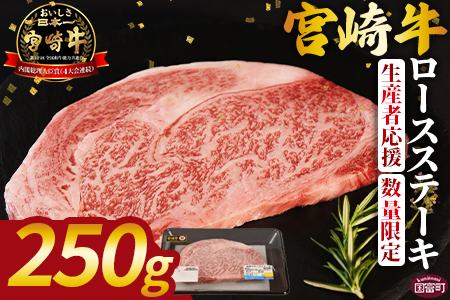 生産者応援 期間限定 数量限定 ＜宮崎牛ロースステーキ 1枚＞翌々月末までに順次出荷【 国産 黒毛和牛 牛肉 牛 精肉 ロース ロース肉 ステーキ 4等級以上 ブランド牛 赤身 贈答品 ギフト 贈り物 化粧箱 グルメ ミヤチク 】