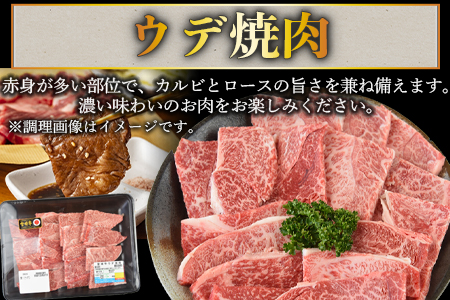 ＜宮崎牛ウデ焼肉 400g＋宮崎県産黒毛和牛こま切れ100g＞