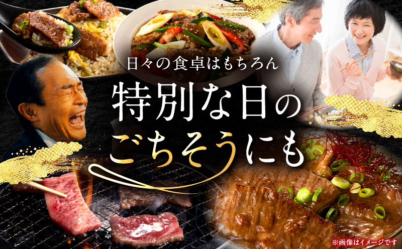 宮崎牛 切落し焼肉1kg（500g×2）_my085-011