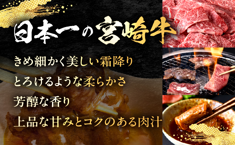 宮崎牛 切落し焼肉1kg（500g×2）_my085-011