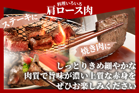 ＜国富町産宮崎牛　赤身肉3種セット900g（サイコロ・焼肉・スライス各300g）＞1ヵ月以内に出荷【 肉 牛肉 精肉 赤身 サイコロステーキ ステーキ 焼肉 焼き肉 ロース スライス ジューシー 贈答品 ギフト 贈り物 プレゼント 】