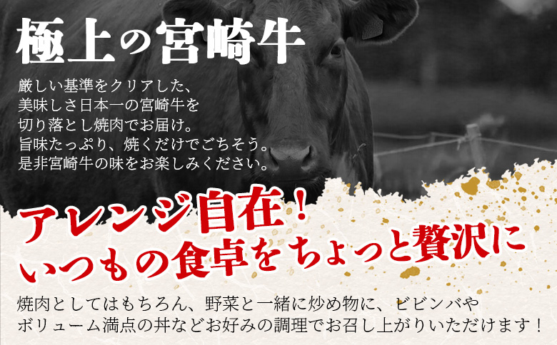 ＜宮崎牛 切落し焼肉1kg（500g×2）＞入金確認後、翌月末までに出荷【 国産 黒毛和牛 牛肉 牛 精肉 赤身 ブランド牛 ちょっと豪華 毎日の食卓 プチ贅沢 ご褒美 旨味 普段使い 焼き肉 形 大きさ 不揃い 切り落とし やきにく 焼くだけ ミヤチク 宮崎県  】