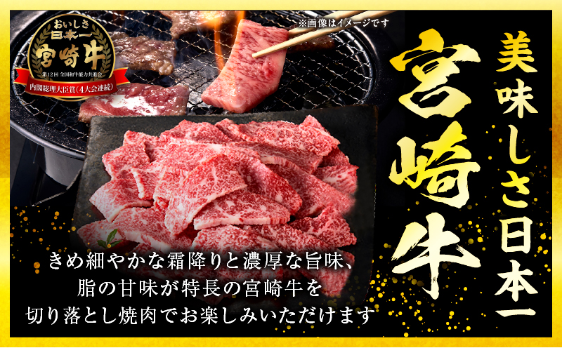 宮崎牛 切落し焼肉1kg（500g×2）_my085-011