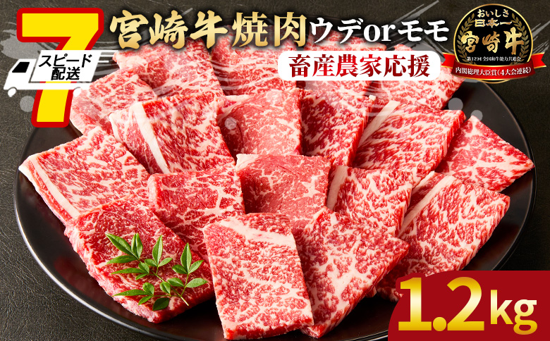 【畜産農家応援】＜宮崎牛 赤身焼肉 2パック（1.2kg）＞入金確認後、7営業日以内に順次出荷【 国産 黒毛和牛 牛肉 牛 精肉 ウデ肉 モモ肉 4等級以上 ブランド牛 赤身 旨味 贈答品 ギフト 贈り物 化粧箱 グルメ ミヤチク 】