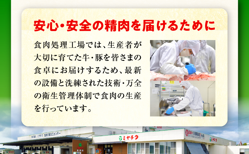 宮崎牛 赤身焼肉 1パック（500g）_my085-012