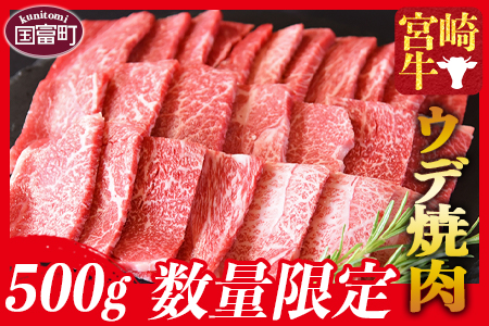 ＜宮崎牛 ウデ焼肉 500g＞