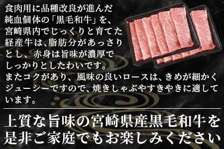 数量限定 ＜宮崎県産黒毛和牛(経産)肩ローススライス 1kg（500g×2）＞1か月以内に順次出荷【 国産 黒毛和牛 牛肉 牛 精肉 肩ロース ロース しゃぶしゃぶ すき焼き 赤身 贈答品 ギフト 贈り物 グルメ ミヤチク 】