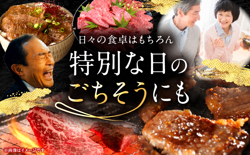 宮崎牛 赤身焼肉 2パック（1kg）_my085-012-01