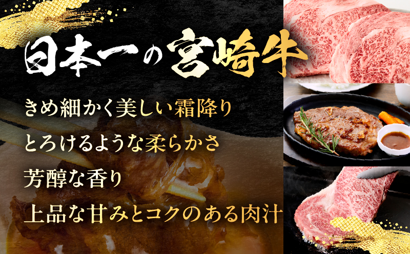 【畜産農家応援】宮崎牛 ロースステーキ 2枚 合計500g_b0374_my_ouen_x1
