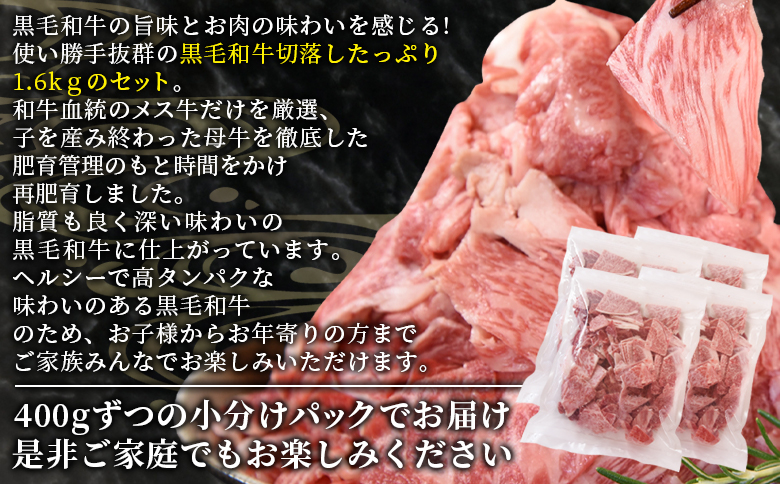 ＜宮崎県国富町産（経産牛）切落し 1.6kg＞1か月以内に順次出荷【 数量 選べる 切り落とし切落し カレー 肉じゃが 牛丼 小分け 使いやすい お取り寄せグルメ お取り寄せ バラエティー 】