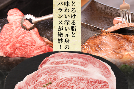【畜産農家応援】＜宮崎牛 ロースステーキ 2枚 合計500g＞入金確認後、1か月程度で出荷【牛肉 黒毛和牛 ブランド牛 4等級以上 高級 国産 お取り寄せグルメ お祝い 特産品 ミヤチク 宮崎県 国富町】
