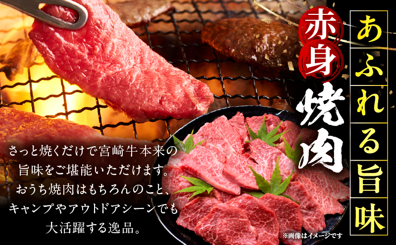 宮崎牛 赤身焼肉 2パック（1kg）_my085-012-01
