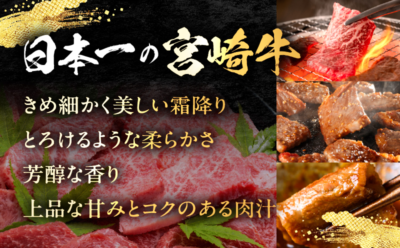 宮崎牛 赤身焼肉 1パック（500g）_my085-012