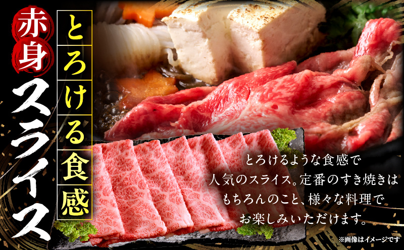 宮崎牛赤身(ウデorモモ)スライス 500g_my085-006