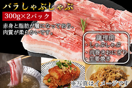 ＜宮崎県産豚肉詰め合わせセット 合計1.8kg＞